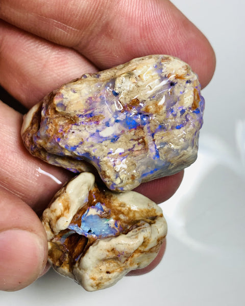 NO RESERVE Lightning Ridge Rough Opal 110cts Opalised wood fossil formations with host rock colourful rough suit being carved Potential 37x25x11mm & 25x22x10mm WSS12