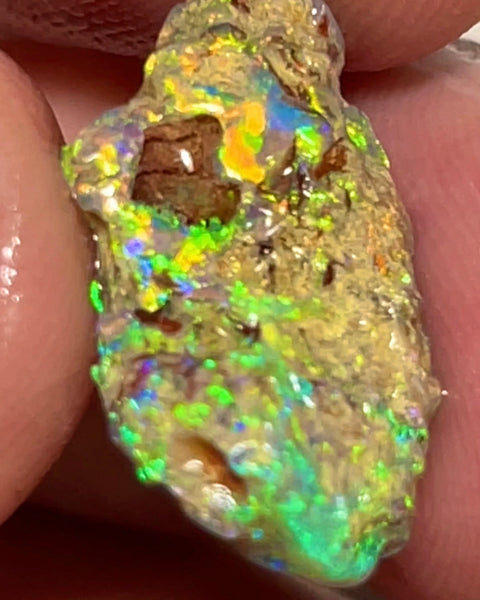 Bling Bling Lightning Ridge Rough Opal 6.25cts Untouched Opalised Wood Fossil Vibrant Rich Bright Multifires 20x10x5mm NEW26