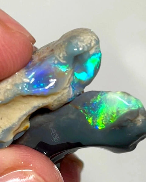 Lightning Ridge 33cts Nice pair of Dark base Crystal Opal formations rough to cut/carve Gorgeous Bright Multicolours 30x14x5 & 27x12x8 mm WAE65