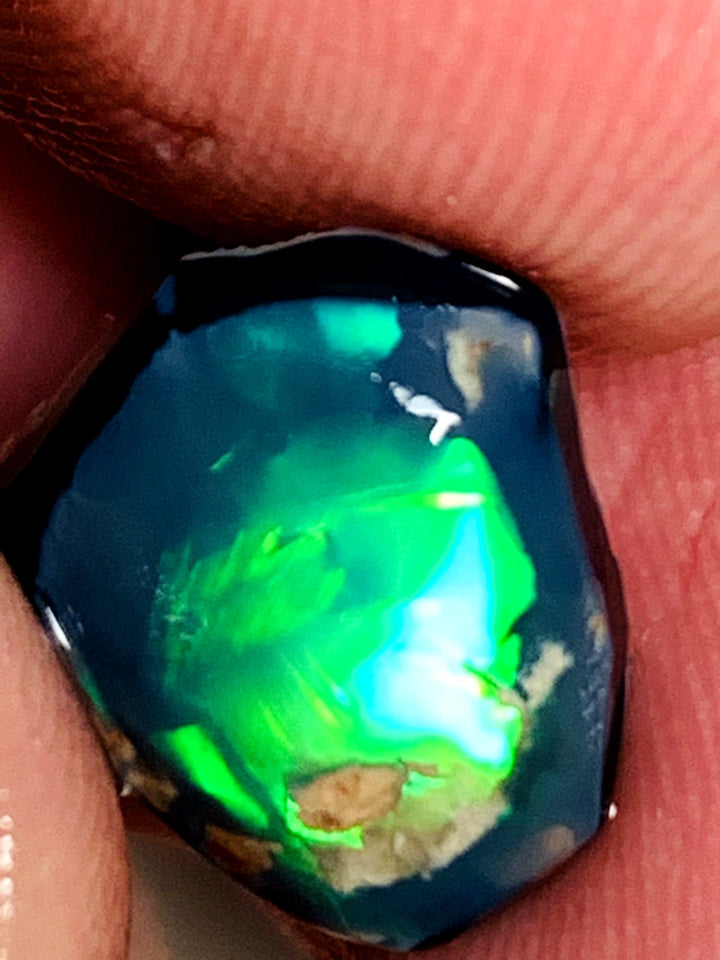 Lightning Ridge Rough / Rub Black knobby opal Miners Bench®  3.75cts Exotic Super Bright Vibrant & Vivid Reds/Oranges/Greens 14x12x3mm WAB65