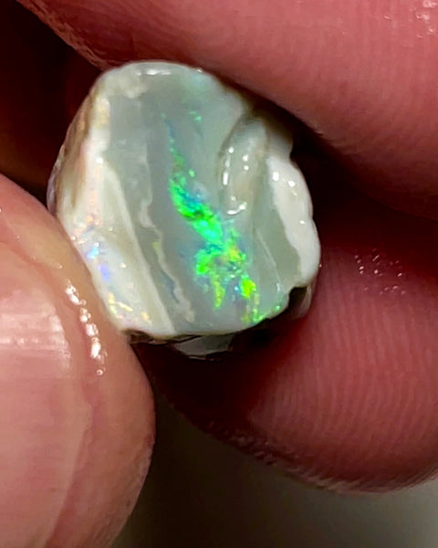 Australian Rough Opal 9.5cts Dark base Knobby of Lightning Ridge Gorgeous Bright Multifires 15x10x8mm WAE04