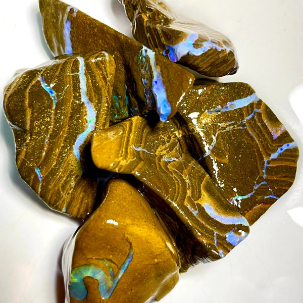 Queensland Boulder Matrix opal 505cts rough Parcel Winton Nice Sized With Bars to expose & explore 35x20x12mm to 25x22x20mm WAD35