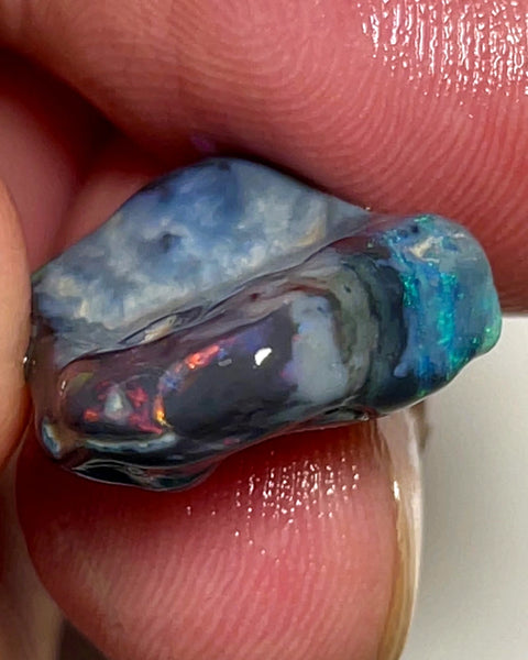 Lightning Ridge Rough Opal 11.5cts Stunning Black base Seam Gorgeous Reds Greens & Multifires in bars 20x14x5mm WAD44