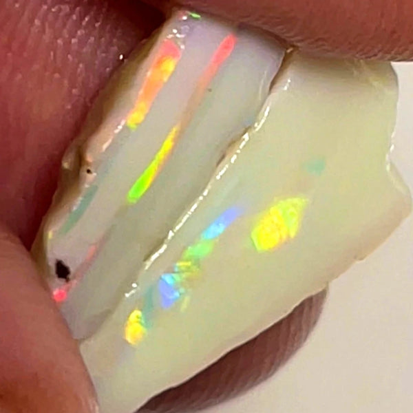 Lightning Ridge Rough Opal 6.5cts Cutters Pair Stunning Light Base High Grade Bright Multifires  18x8x5 & 12x8x4 mm WAE26