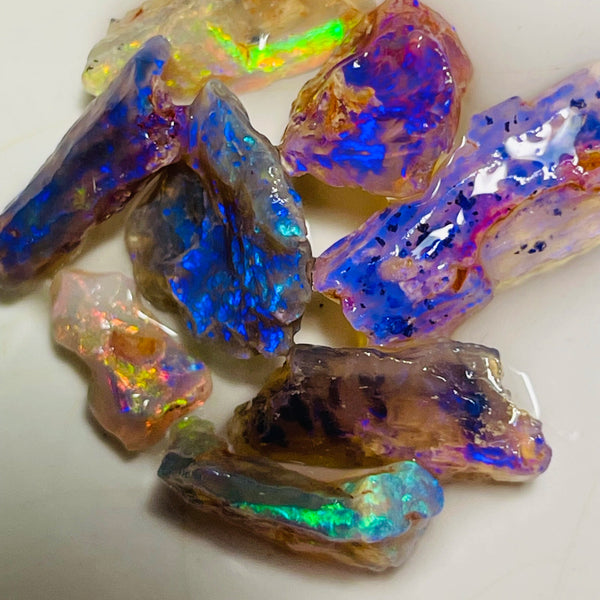 Coocoran field Opal Rough nice Opalised Wood Fossil parcel 27cts Bright & gorgeous multi colours 20x8x4mm to 10x5x2mm NSW010