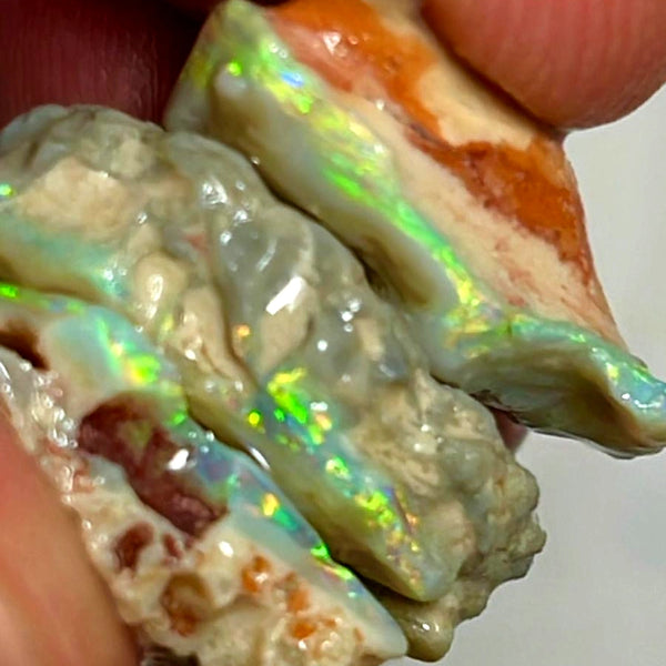 Lightning Ridge Opal Rough Dark Base Seam Stack 20cts Stunning Bright Multicolours 18x15x7mm to 14x10x6mm WAE33