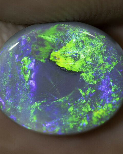 Lightning Ridge Semi Black Opal Gemstone 2.48cts N5 Body Tone B3 Brightness Stunning Multi fires & play of colour 11x9x3mm WSF8877