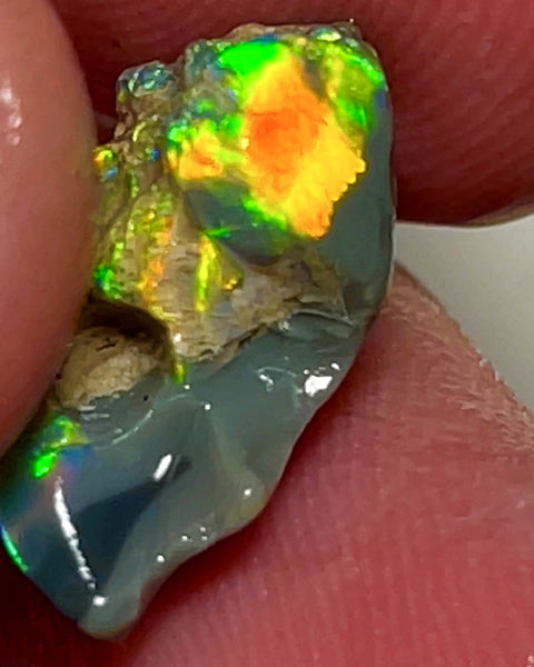 Lightning Ridge Rough Opal 5.25cts Dark Base Carvers Candy High Grade Bright Orange/Yellow Multifires 17x12x8mm WAE2