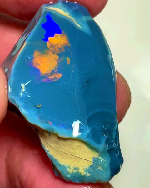 Lightning Ridge Opal Huge Rough/Rub Dark Base From the Miners Bench® 60cts Broad zones of Orange/Blue fires 39x24x12mm WAD29