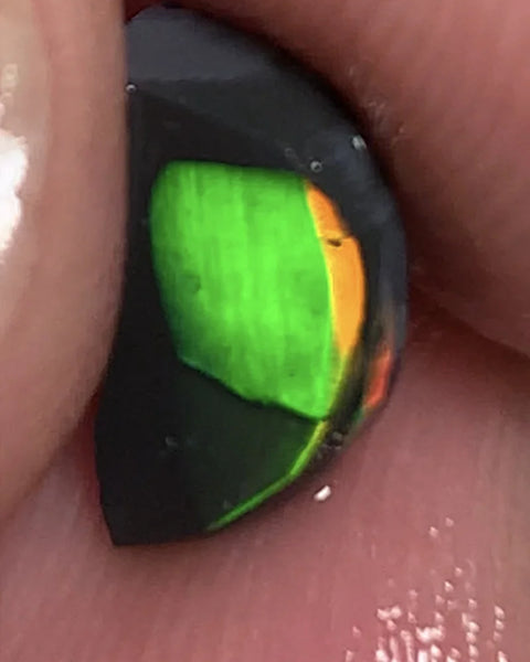 Lightning Ridge Rough / Rub Black Seam opal Miners Bench®  Baby Harlequin 1.45cts Exotic Super Bright Vibrant & Vivid Multifires 12x6x2mm WSY92