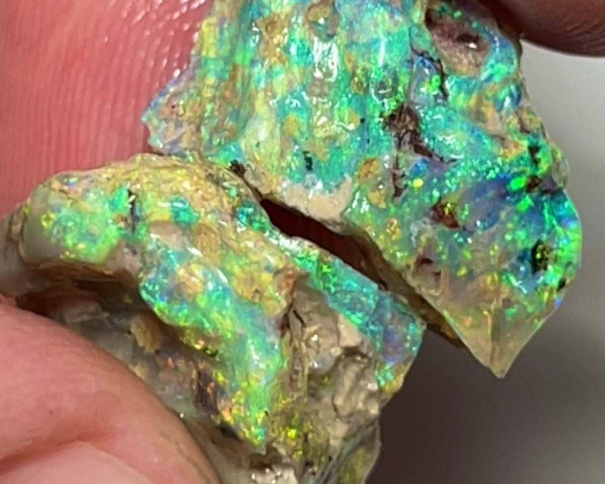 Exotic Very Unique Knobby opal formation Split 14.25cts Rough Full of Bright Multifires 18x13x7mm 15x12x6mm Auction112