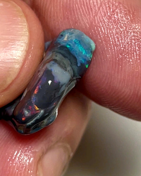 Lightning Ridge Rough Opal 11.5cts Stunning Black base Seam Gorgeous Reds Greens & Multifires in bars 20x14x5mm WAD44