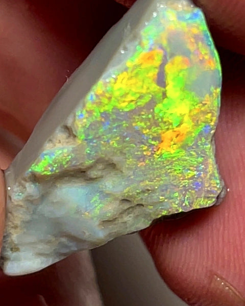 Lightning Ridge Rough / Rub Dark base Seam opal 11cts  Vibrant Bright Gorgeous Array of Multifires 25x14x6mm WAE5