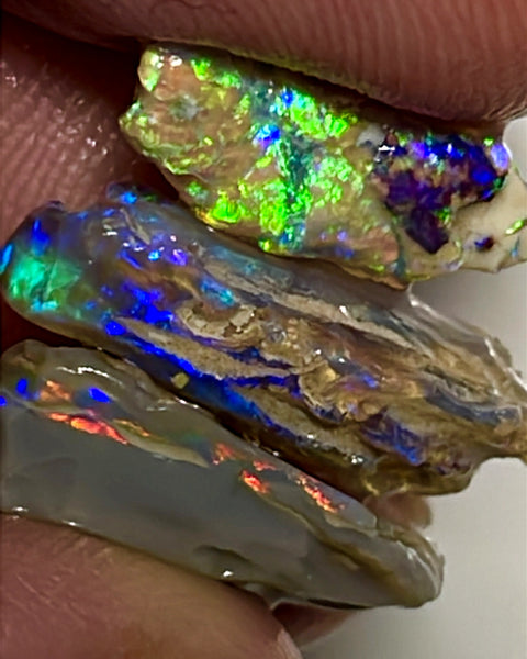 Lightning Ridge Rough Opal 12cts Stunning Stack of Dark base Nice Gamble rough to cut Gorgeous Bright Multicolours 17x11x4 to 15x6x3mm WAE59