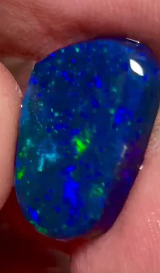 Gorgeous Black opal rub Lightning Ridge 12.00cts Stunning Face loaded with Blue dominant Multifires  20.00x 10.00x 5.00mm  NEW964