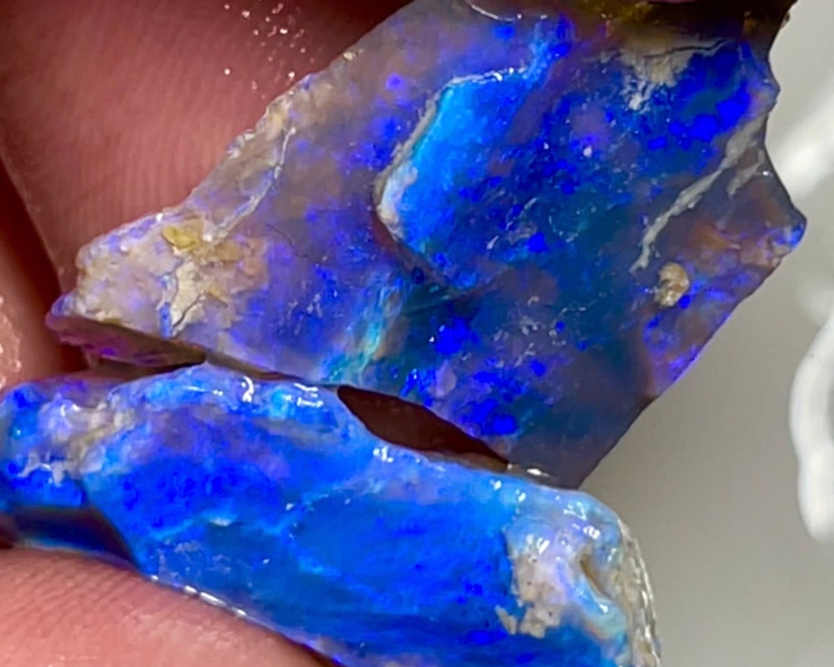 Lightning Ridge Rough Dark Crystal Seam pair 19.50cts  Nice Size Bright gorgeous Blue fires 27x18x3 & 25x10x5 mm NEW06