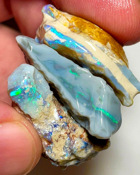 Lightning Ridge Rough Opal 79cts Big sized Dark Base Seam Blue & green showing in bars 32x19x11mm to 30x15x9mm WAD41