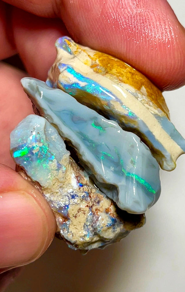 Lightning Ridge Rough Opal 79cts Big sized Dark Base Seam Blue & green showing in bars 32x19x11mm to 30x15x9mm WAD41