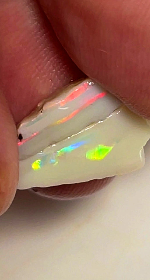 Lightning Ridge Rough Opal 6.5cts Cutters Pair Stunning Light Base High Grade Bright Multifires  18x8x5 & 12x8x4 mm WAE26