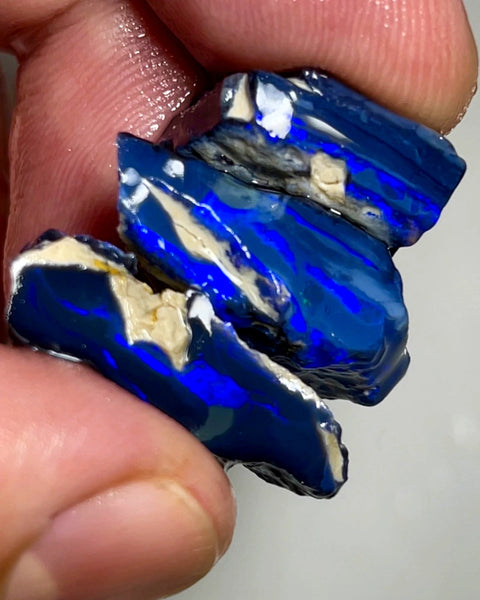 Lightning Ridge Rough Opal 39cts Stunning Stack of Black base Seams to cut Gorgeous Bright Royal Blues to cut 25x17x8mm to 15x12x6mm WAD45