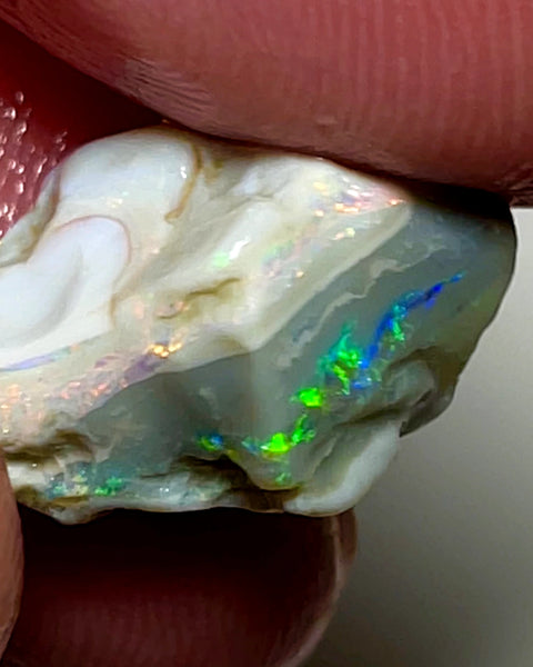 Australian Rough Opal 9.5cts Dark base Knobby of Lightning Ridge Gorgeous Bright Multifires 15x10x8mm WAE04