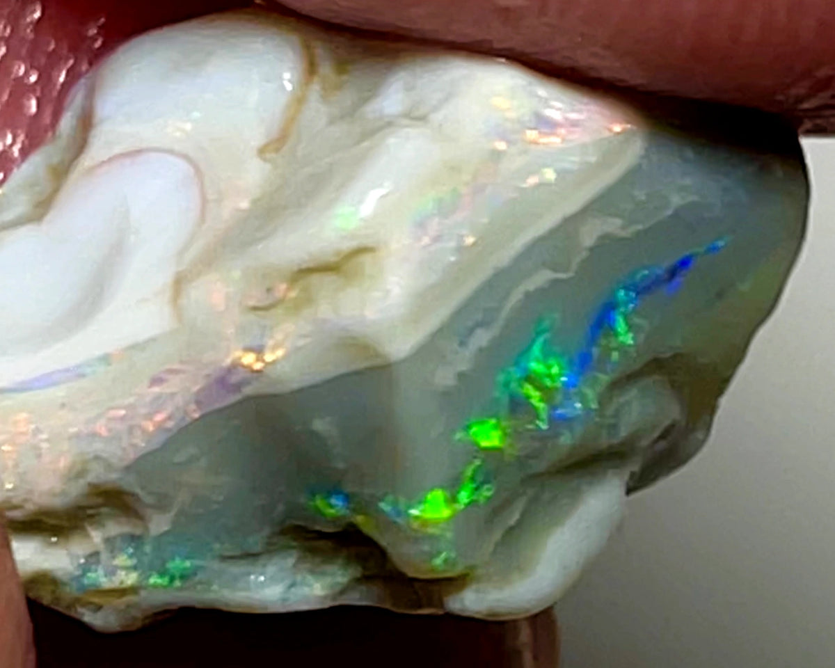 Australian Rough Opal 9.5cts Dark base Knobby of Lightning Ridge Gorgeous Bright Multifires 15x10x8mm WAE04