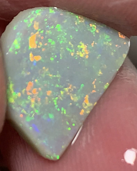 Lightning Ridge Rough / Rub Grey Crystal opal Miners Bench® 3.4cts Clean & Amazing Multifires 14x12x3mm WSV20