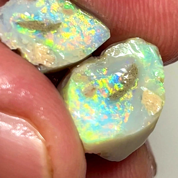 Lightning Ridge Rough Opal 10cts Gem Bright Dark Knobby Split with Amazing bars with Bright Vibrant Multifires 14x11x7 & 12x9x4 mm WAE28