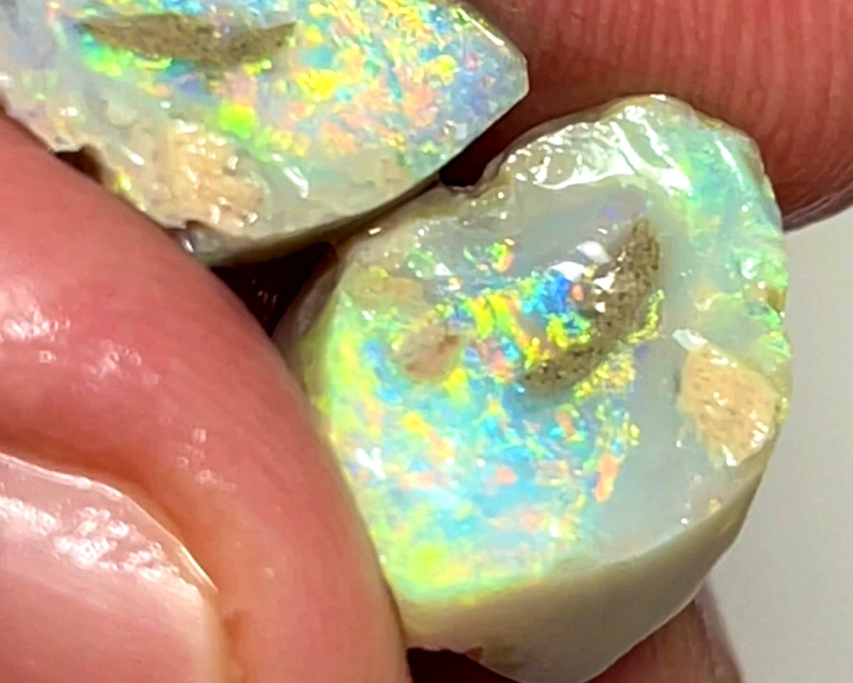 Lightning Ridge Rough Opal 10cts Gem Bright Dark Knobby Split with Amazing bars with Bright Vibrant Multifires 14x11x7 & 12x9x4 mm WAE28