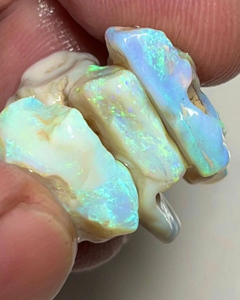 Lightning Ridge Rough Thick Seam Opals 29.00cts Light base with Multicolour bars showing lots of potential 20x17x8 to 15x11x7 mm NSW049