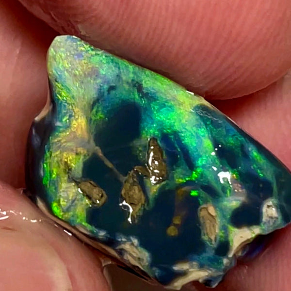 Lightning Ridge Opal Rough/Rub Black Specimen From the Miners Bench® 9.5cts Gorgeous Bright Multi fires 20x12x7mm WAC51