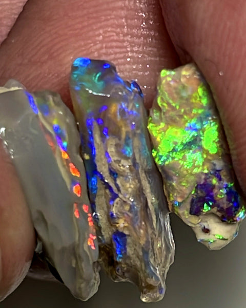 Lightning Ridge Rough Opal 12cts Stunning Stack of Dark base Nice Gamble rough to cut Gorgeous Bright Multicolours 17x11x4 to 15x6x3mm WAE59