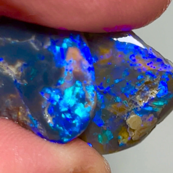 Lightning Ridge Rough / Rubs pair Blue on Black opal Miners Bench® 18cts Gorgeous Blue dominant Fires 17x16x5mm & 15x13x4mm NSA010