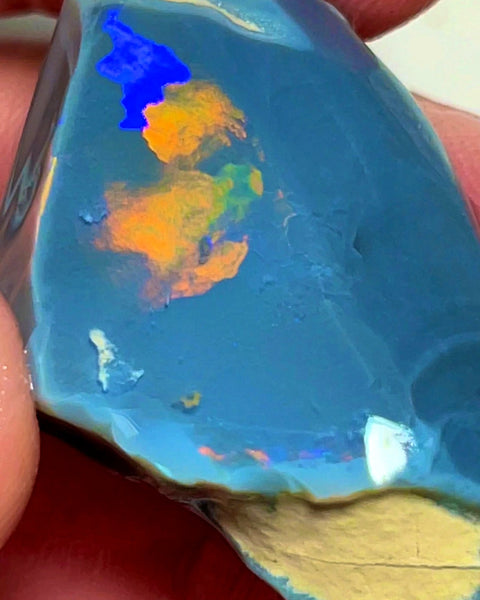 Lightning Ridge Opal Huge Rough/Rub Dark Base From the Miners Bench® 60cts Broad zones of Orange/Blue fires 39x24x12mm WAD29