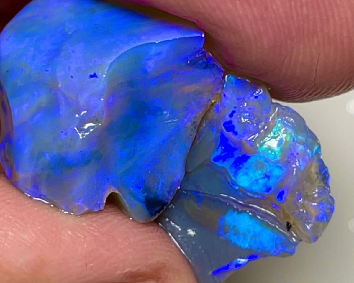 Dark Base Crystal Stunners Lightning Ridge Rough Opal 23.00cts Cutters Pair with Stunning Gorgeous Bright Blue dominant fires through out 18x15x12mm & 17x14x4mm NSW039