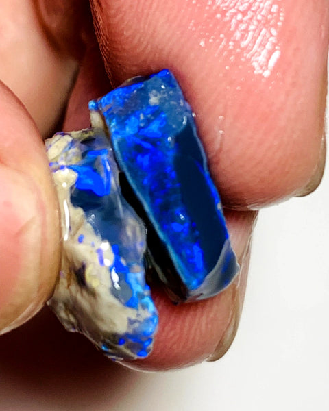 OPAL MONTH SPECIAL Lightning Ridge Rough Pair Gem Blacks opal 12cts Gorgeous Bright Royal Blues 17x14x4mm & 15x9x5mm WSZ54