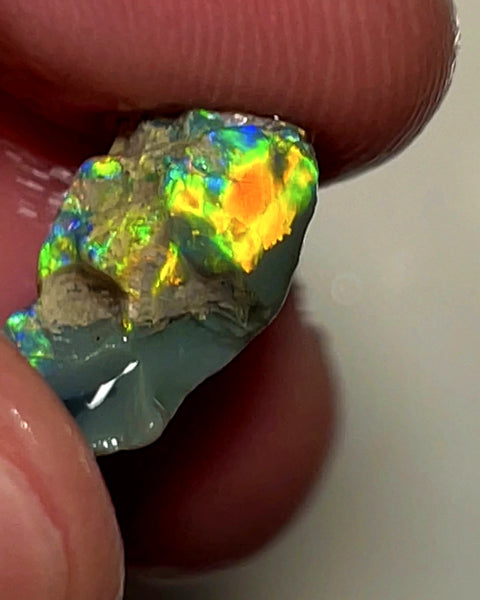 Lightning Ridge Rough Opal 5.25cts Dark Base Carvers Candy High Grade Bright Orange/Yellow Multifires 17x12x8mm WAE2