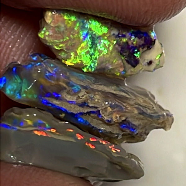 Lightning Ridge Rough Opal 12cts Stunning Stack of Dark base Nice Gamble rough to cut Gorgeous Bright Multicolours 17x11x4 to 15x6x3mm WAE59