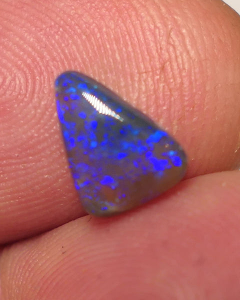 Australian Dark Crystal Opal Gemstone 1.15cts Gem Grade  N5 Body Tone B3 Brightness Stunning Blue fires 8x5x2mm WAC56