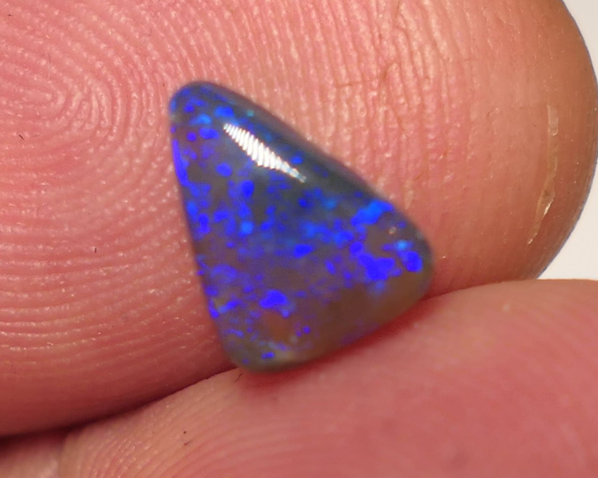 Australian Dark Crystal Opal Gemstone 1.15cts Gem Grade  N5 Body Tone B3 Brightness Stunning Blue fires 8x5x2mm WAC56