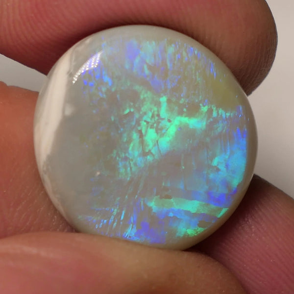 Lightning Ridge Dark Opal Gemstone Huge 14.8cts Jewellery Grade  N6 Body Tone B3 Brightness Stunning Vibrant Multifires 20x19x5mm WAC57