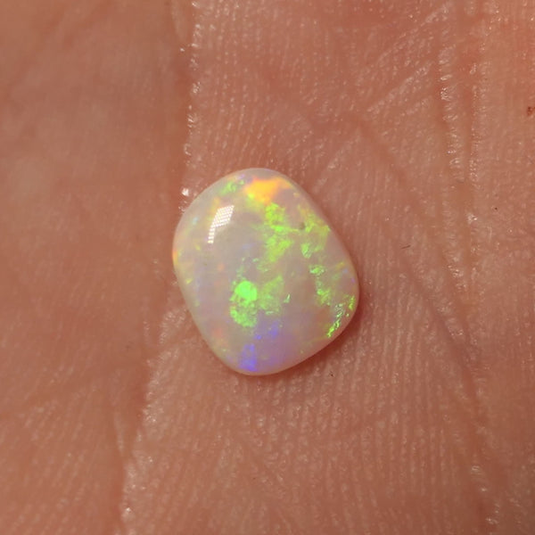 Lightning Ridge Light Opal Gemstone 0.7cts Gem Grade N8 Body Tone B2 Brightness Stunning Vibrant Multifires 8x6x2mm WAC58