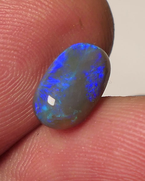 Lightning Ridge Dark Opal Gemstone 1.7cts Jewellery Grade N5 Body Tone B4 Brightness Rolling Green / Blue fires 10x6x3mm WAC68