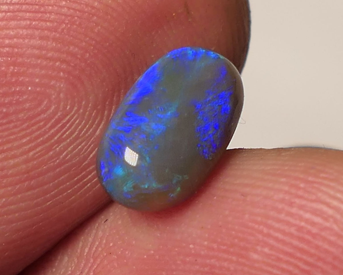 Lightning Ridge Dark Opal Gemstone 1.7cts Jewellery Grade N5 Body Tone B4 Brightness Rolling Green / Blue fires 10x6x3mm WAC68