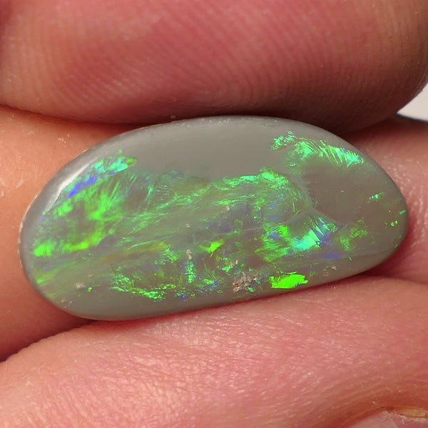 Lighting Ridge Dark Opal Picture stone Gemstone 5cts Jewellery Grade N6 Body Tone B3 Brightness Stunning Multifires 23x11x2.5mm WAC63