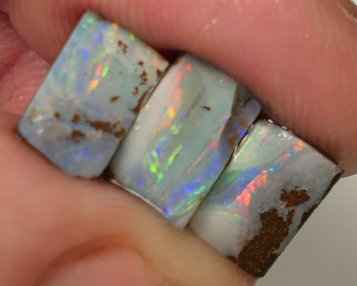 Queensland Boulder opal 6.6cts rough / Rub / preforms Winton Bright Gem Reds & Multifires 10x6x3mm to 9x6x2.5mm WAC71