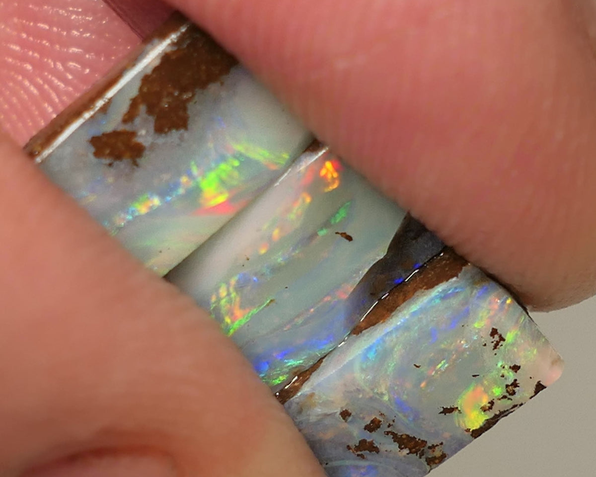 Queensland Boulder opal 6.6cts rough / Rub / preforms Winton Bright Gem Reds & Multifires 10x6x3mm to 9x6x2.5mm WAC71