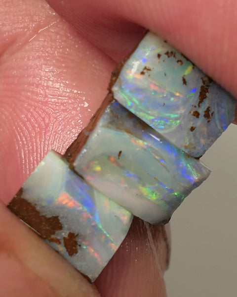 Queensland Boulder opal 6.6cts rough / Rub / preforms Winton Bright Gem Reds & Multifires 10x6x3mm to 9x6x2.5mm WAC71