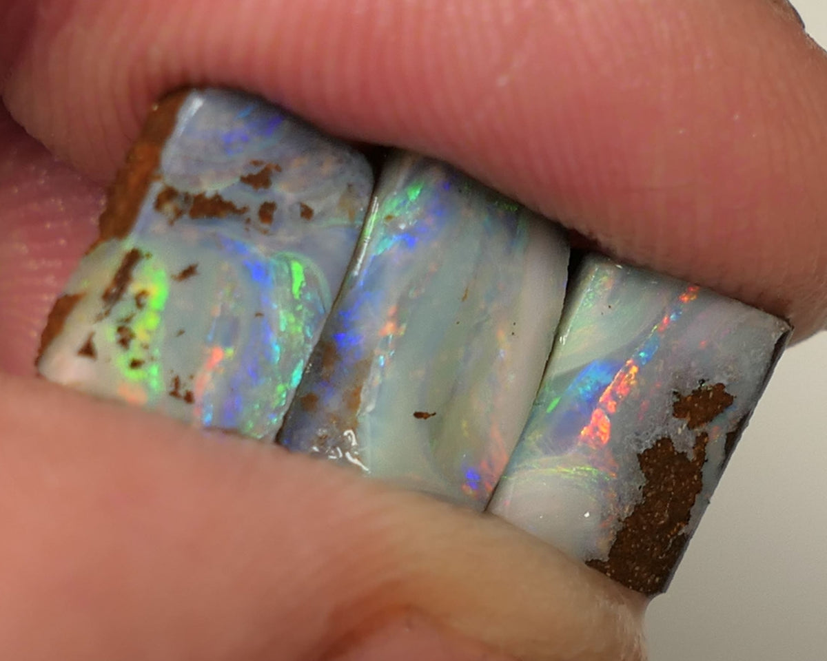 Queensland Boulder opal 6.6cts rough / Rub / preforms Winton Bright Gem Reds & Multifires 10x6x3mm to 9x6x2.5mm WAC71