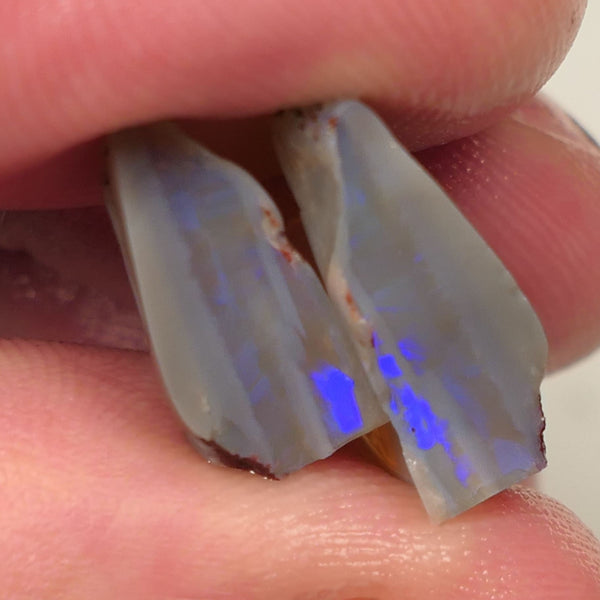 Lightning Ridge Rough Opal 12cts Dark Base Knobby Split Bright Blue fires in the bars 20x14x5mm to 13x8x5mm 0520